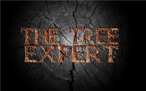 The Tree Expert Bedford